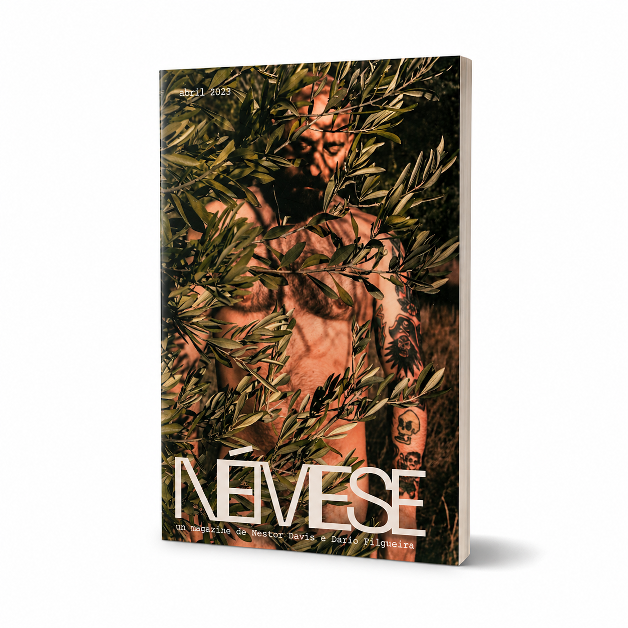 Némese - Dentro o fóra